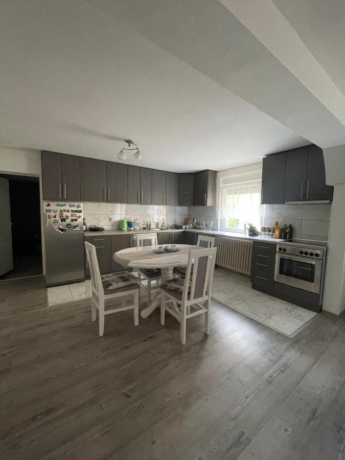 Antic Apartment Požarevac Dış mekan fotoğraf